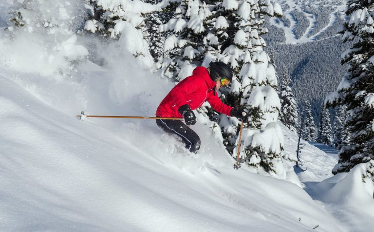 Skieur dans des sapins enneigés