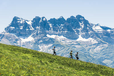 Coureurs en descente dans une prairie l'été